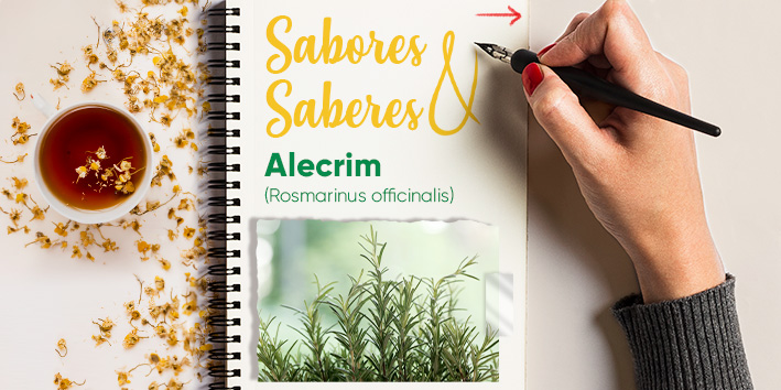 Sabores e saberes - Alecrim 1